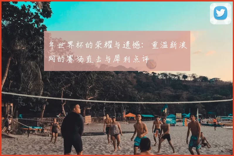 年世界杯的荣耀与遗憾:重温新浪网的赛场直击与犀利点评