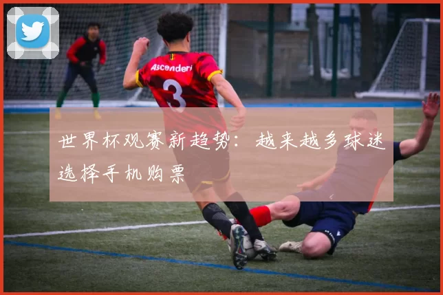 世界杯观赛新趋势:越来越多球迷选择手机购票