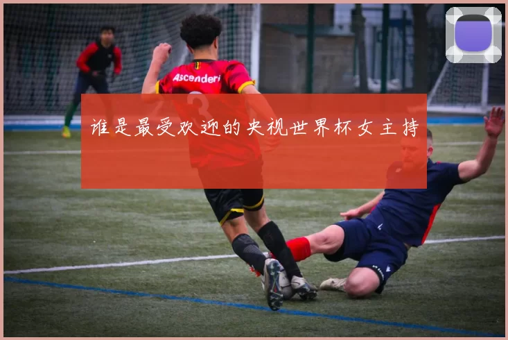 谁是最受欢迎的央视世界杯女主持
