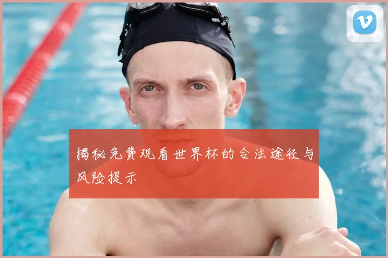 揭秘免费观看世界杯的合法途径与风险提示