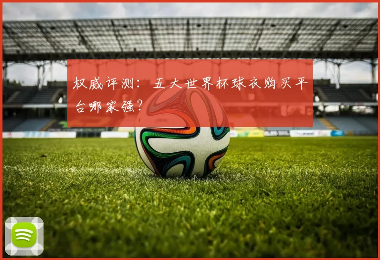 权威评测：五大世界杯球衣购买平台哪家强？