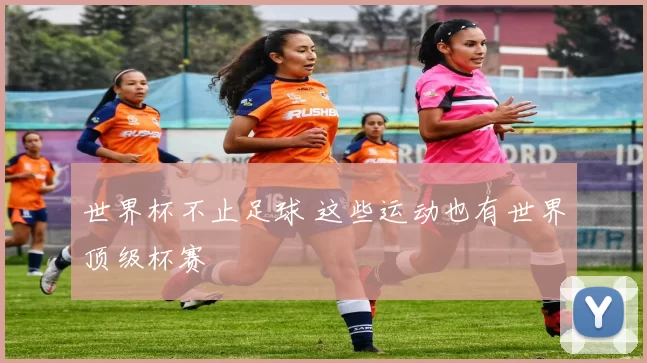 世界杯不止足球 这些运动也有世界顶级杯赛