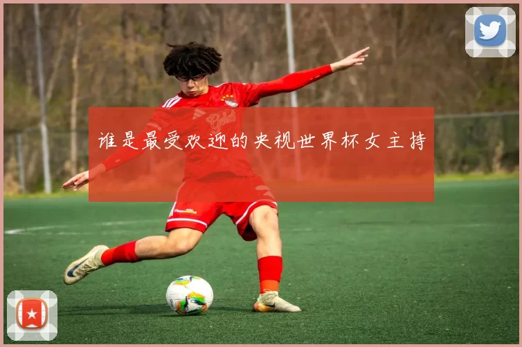 谁是最受欢迎的央视世界杯女主持