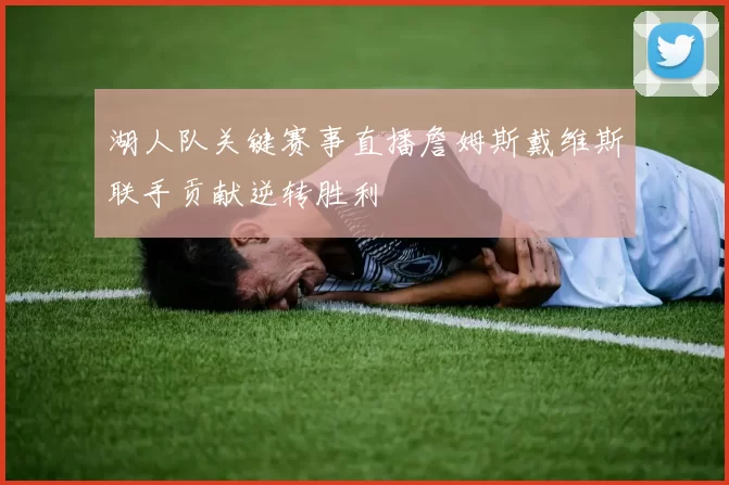 湖人队关键赛事直播詹姆斯戴维斯联手贡献逆转胜利