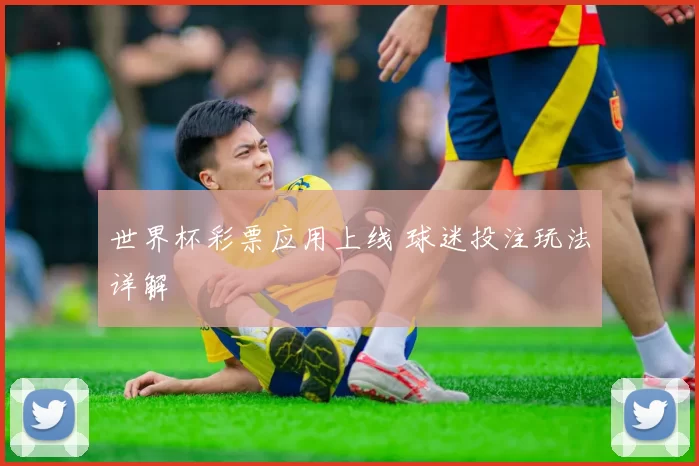 世界杯彩票应用上线 球迷投注玩法详解