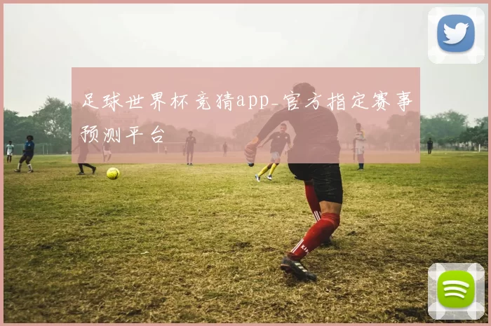 足球世界杯竞猜app_官方指定赛事预测平台