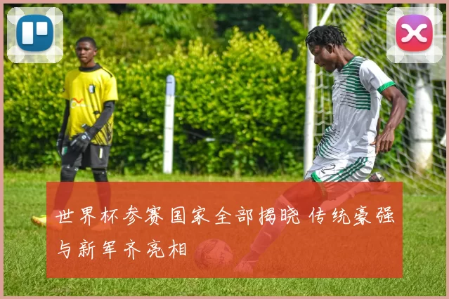 世界杯参赛国家全部揭晓 传统豪强与新军齐亮相